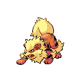 Arcanine