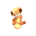 BabyGrowlithe