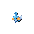 Mudkip