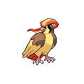 Pidgeot