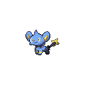 Shinx